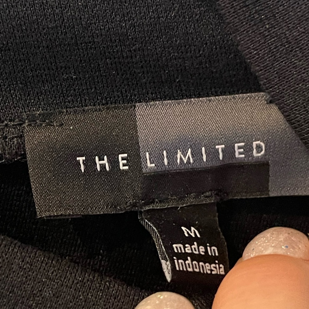 The limited turtle neck, black, long sleeve dress